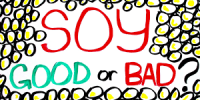 soya.png