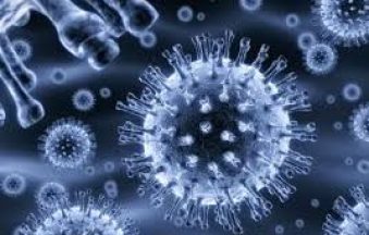 viruses.jpg