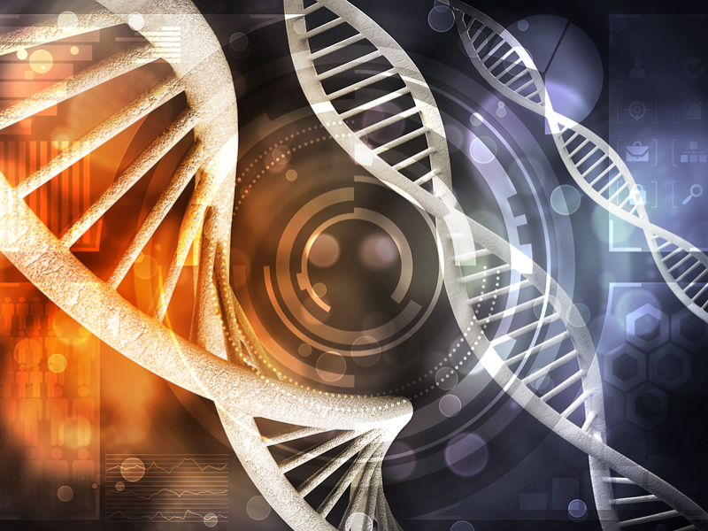 DNA strands image
