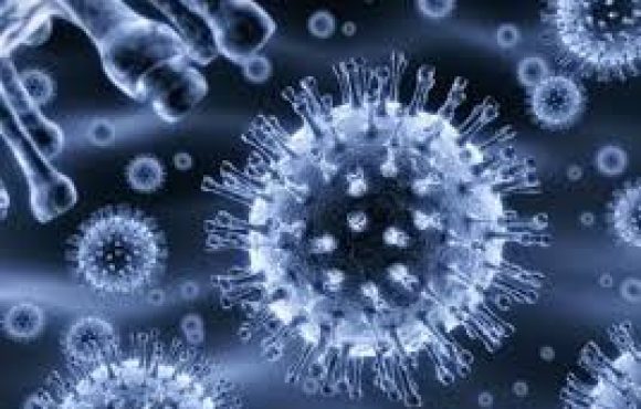 viruses.jpg