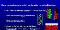 xenobiotics.jpg